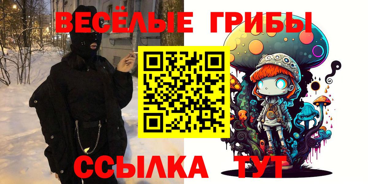 Псилоцибиновые грибы Psilocybine cubensis Анжеро-Судженск
