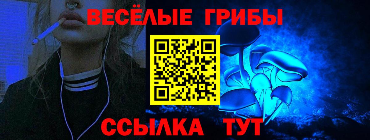 Анжеро-Судженск  Псилоцибиновые грибы мицелий  Вход с VPN 